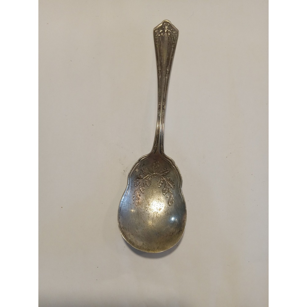 Wm Rogers & Son 1913 Arbutus Silverplate Sugar Shell Spoon Scalloped Floral AA